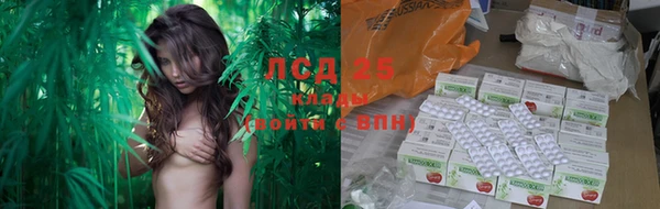 тгк Абаза