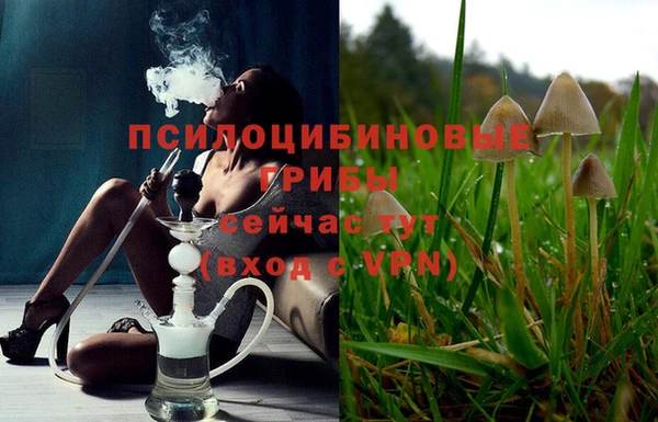 ПСИЛОЦИБИНОВЫЕ ГРИБЫ Абдулино
