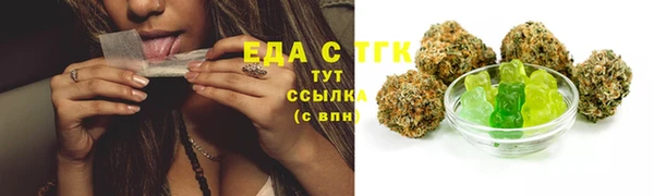 тгк Абаза
