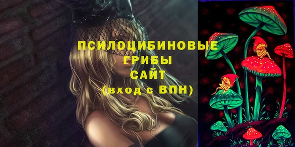 ПСИЛОЦИБИНОВЫЕ ГРИБЫ Абдулино