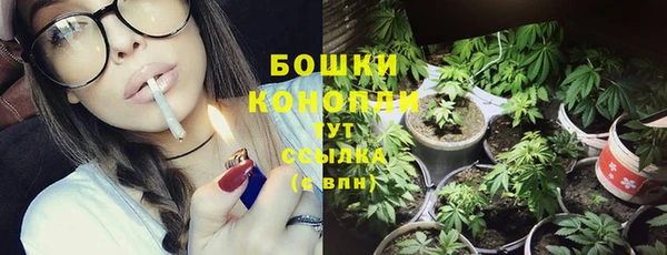 ПСИЛОЦИБИНОВЫЕ ГРИБЫ Абдулино