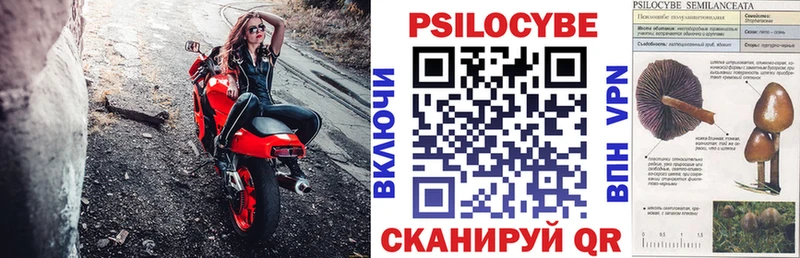 Псилоцибиновые грибы мухоморы  Донецк 