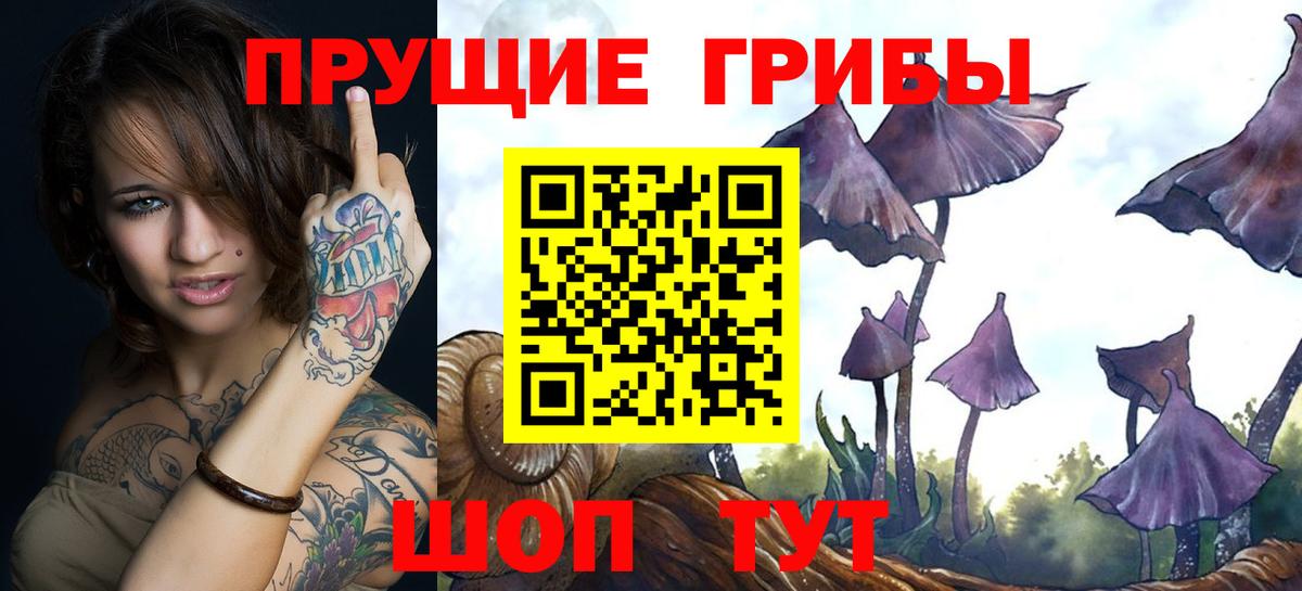 Псилоцибиновые грибы мицелий Донецк