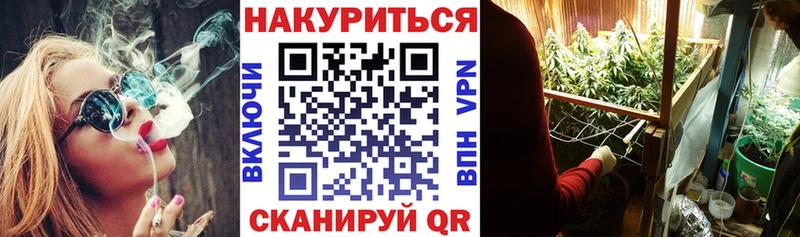 Марихуана план  Донецк 